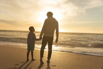 Full length rear view of father and son holding hands while standing beach during sunset