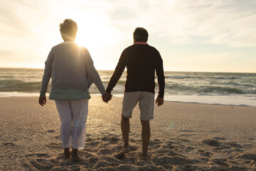 Rear view of multiracial senior couple holding hands walking on sand towards sea at beach