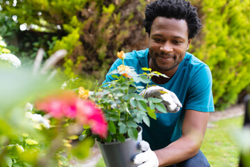 Smiling young african american man holding potted plant while gardening in backyard © wavebreak3