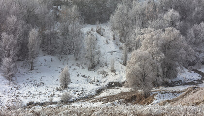 Landscape, trees, snow, kar, travel, forest, road, river, stream.