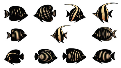 Fototapeta premium Adobe Illustrator Artwork