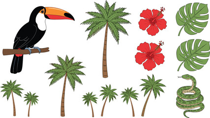 Fototapeta premium Tropical jungle illustration set with toucan palm trees hibiscus flowers monstera leaves and snake, colorful exotic nature elements isolated on white background