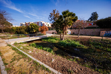 Fototapeta premium Tiled Walkway and Lush Vegetation in Villajoyosa Park