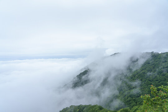 雲が覆う山