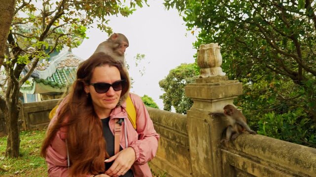 Wide Angle View of Several Monkeys Climbing on Woman Bending Forward with Distressed Expression near Stone Railing in Green Temple Area forming a Wildlife Interaction Concept