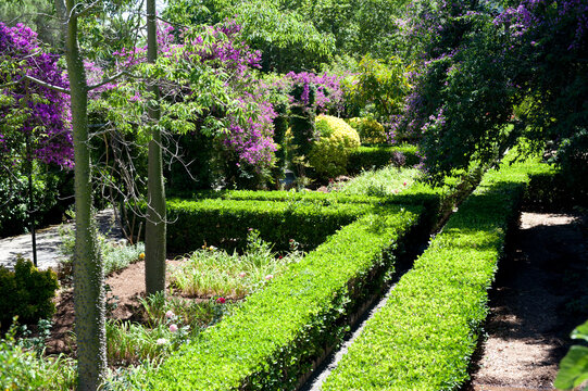 Jardines de Alfabia lush green hedge garden in Majorca Spain