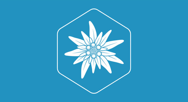 White outline icon of an edelweiss flower inside a hexagon frame on a blue background, symbolizing the Alps and natural beauty.