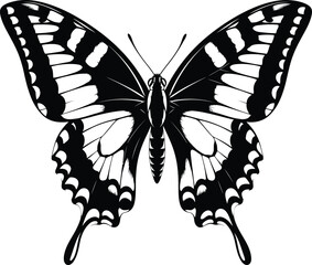 Butterfly Detailed Wings Black and White Vector