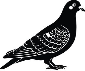 Pigeon Bird Black and White Vector Illustration