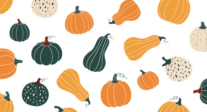 Seamless pattern with various hand-drawn pumpkins and squashes in autumn colors, creating a festive background for Halloween or Thanksgiving.