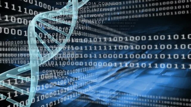 Animation of binary coding and spinning dna structure over blue square shapes on black background