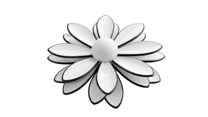 Modern White Daisy with Black Edges and Globe Center