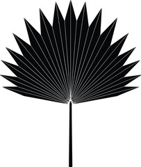 Fan Palm Leaf Silhouette Black and White Vector