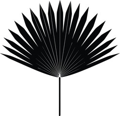 Palm Leaf Silhouette Black and White Vector Illustration