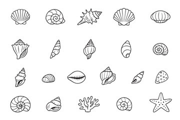 Black and white vector illustration featuring various seashells and a starfish arranged in rows. Includes different shapes and textures, perfect for marine-themed designs and projects
