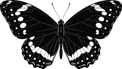Elegant Butterfly Silhouette Illustration