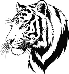 Tiger Head Wildlife Illustration