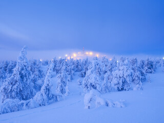 Winter mountain landscape at blue hour. Snowy fir trees, deep snowdrifts, frost and hoarfrost under twilight sky. Serene cold atmosphere, majestic peaks, crystal reflections. No people. Horizontal.