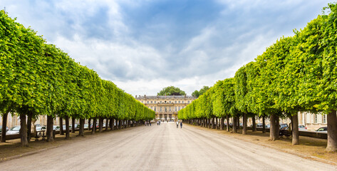 Panorama of trees on the Place de la Carriere in Nancy, France
