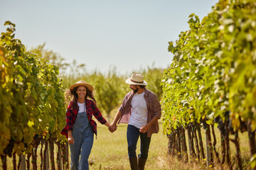 A couple walks hand in hand through a lush vineyard, smiling and sharing a moment of joy in the sun. They are surrounded by rows of green vines ready for harvest.