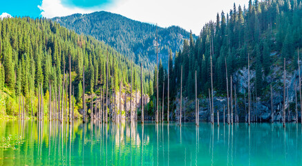 Sunken forest of Lake Kaindy in Kazakhstan. Beautiful mountain natural landscape. A blue lake with...