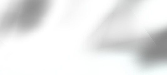 An abstract background with an organic shadow cast over a white textured wall