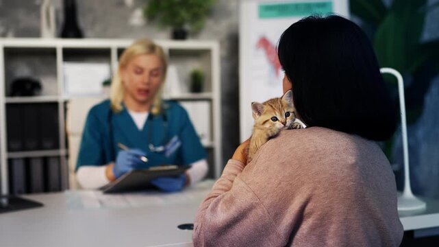 Female kitten owner listening to veterinarian advice during pet health check-up