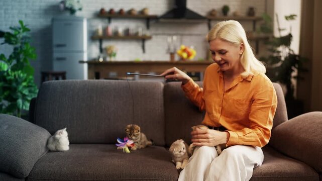 Happy woman playing with four cute purebred kittens using feather pet toy