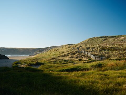 Scenic coastal path with wooden fence winding through grassy dunes overlooking sandy beach and ocean bay under clear blue sky - Powered by Adobe