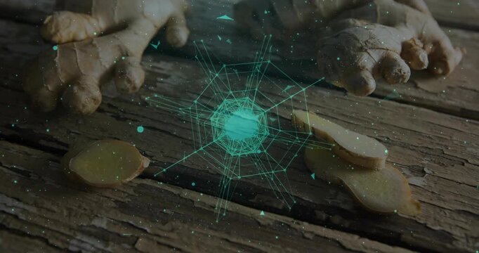 Ginger roots and slices being animated on plank, with green wireframe sphere, digital particles