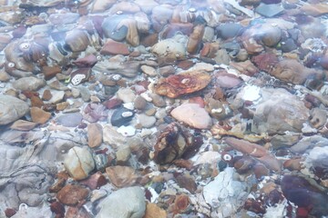 Color pebbles in shallow sea water texture background