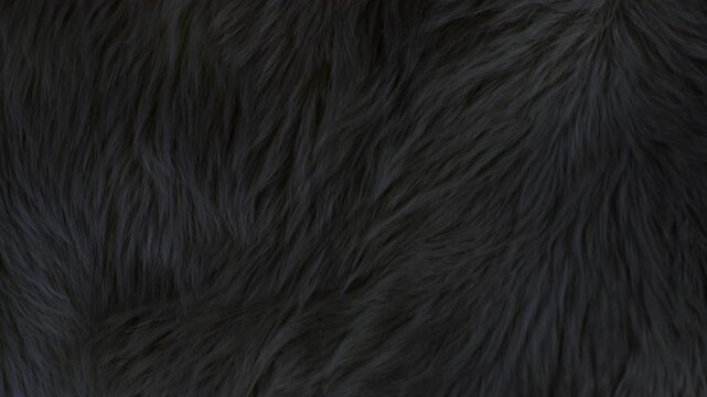 Waving Real Black Animal Fur Texture Background in Slow Motion, 1000fps.