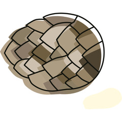 Pine Cone Illustration