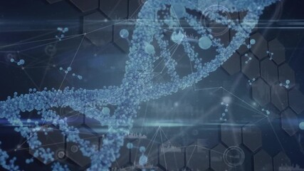Animation of network of connections over dna strand and data processing on black background - Powered by Adobe