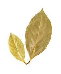 Dried bay leaves spice seasoning ingredient transparency