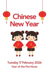 Chinese new year celebration 2026