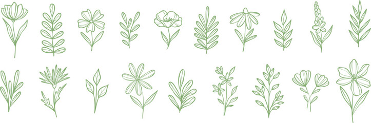 Botanical doodles vector tiny flowers and plants line art illustration clip art set © Kati Moth