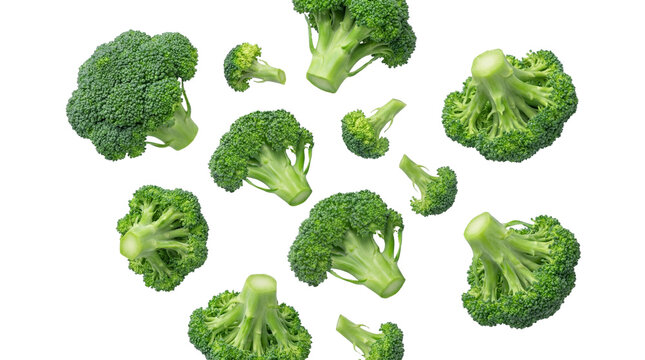 scattered fresh green broccoli florets on a transparent background, dynamic composition, food illustration