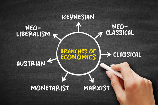 Branches of economics concept illustrating classical, neoclassical, keynesian, marxist, monetarist, austrian, and neoliberalism theories organized around a central economics theme
