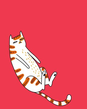 the laziest cat