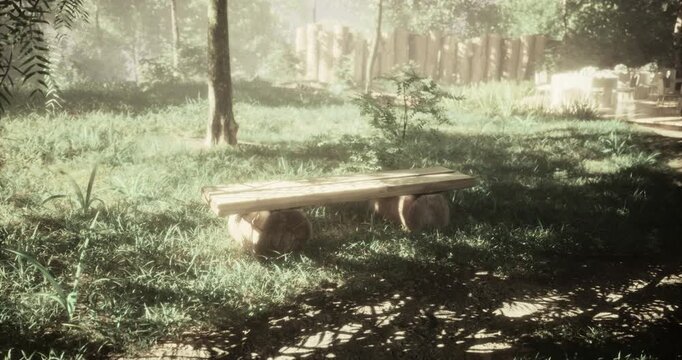 A simple wooden bench rests on tree stumps in a peaceful forest area. Sunlight filters through the trees, illuminating the lush grass and creating a calming atmosphere.