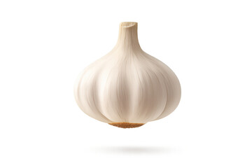 Single Garlic bulb with a transparent background for graphic design.