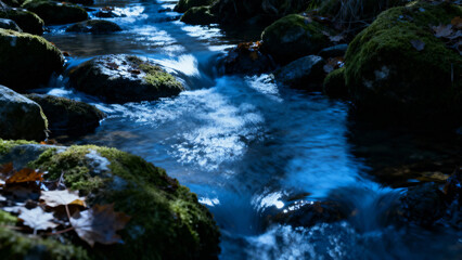 Clear stream flowing over moss-covered rocks in a forested area