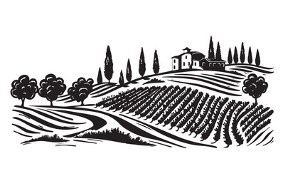 Vineyard landscape, hand drawn illustrations,  Sketch.	
