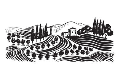 Vineyard landscape, Sketch, hand drawn illustrations.	
