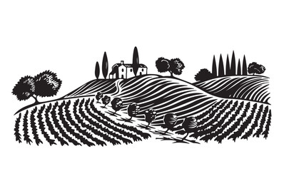 Vineyard landscape, Sketch. Hand drawn illustrations, 
