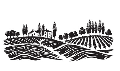 Vineyard landscape, Sketch. Hand drawn illustrations, 