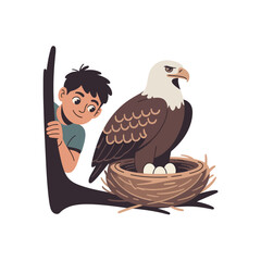A young boy curiously observes a majestic bald eagle in its nest