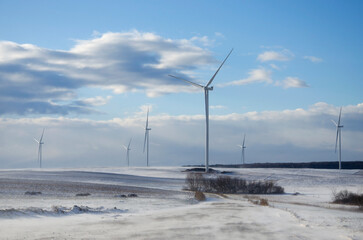 Wind turbines standing in an open rural landscape during a winter snowstorm. © Olena Smerichka