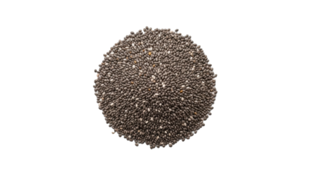Dark, tiny, oval chia seeds forming a mound on a pristine matte white ceramic plate, flat lay, top-down, soft high-key studio light, sharp focus, concept of healthy eating and wellness